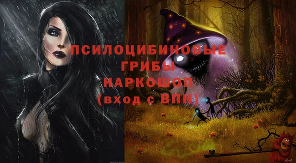 дживик Зерноград