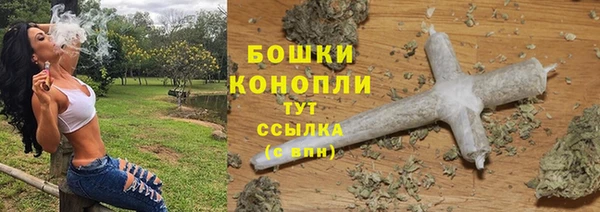 ешки Инта